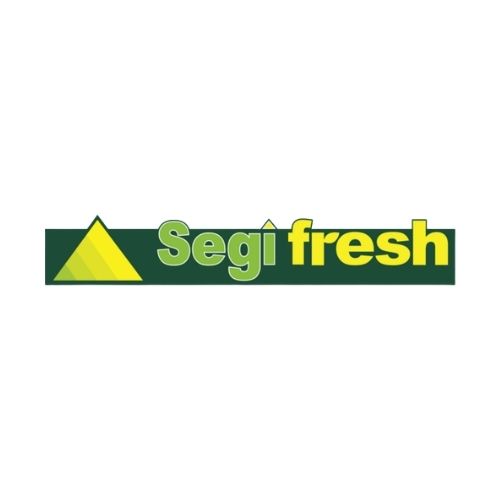 Delfi-Retail-Partner-Segi